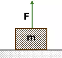 Esquema del cuerpo y la fuerza