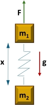 Esquema de los cuerpos y el resorte